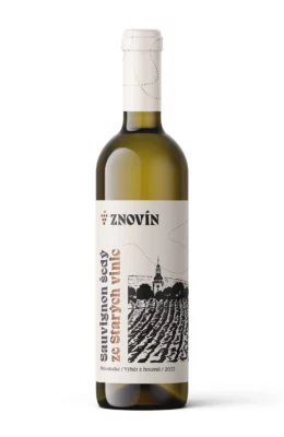 Sauvignon šedý