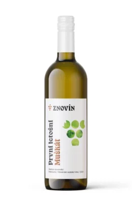 První letošní – Muškát moravský