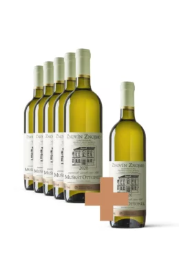 Muškát Ottonel 5+1